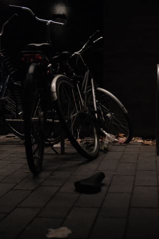 00000000-0000-73b9-90dc-e85a650a0ef0.jpg